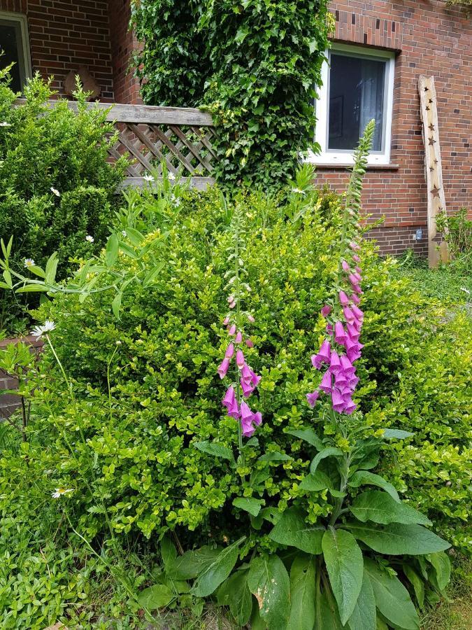 Ferienwohnung Im Naturgarten شنيفردينغين المظهر الخارجي الصورة
